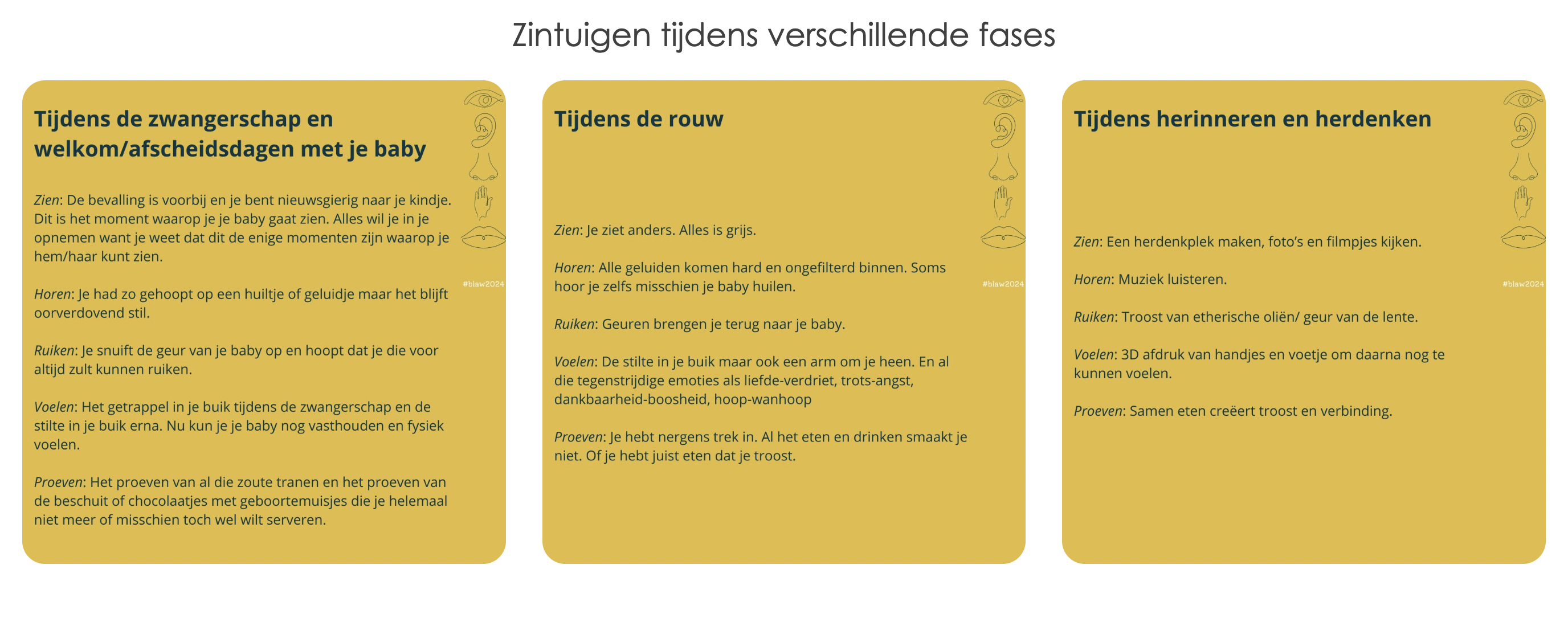 Zintuigen tijdens verschillende fases