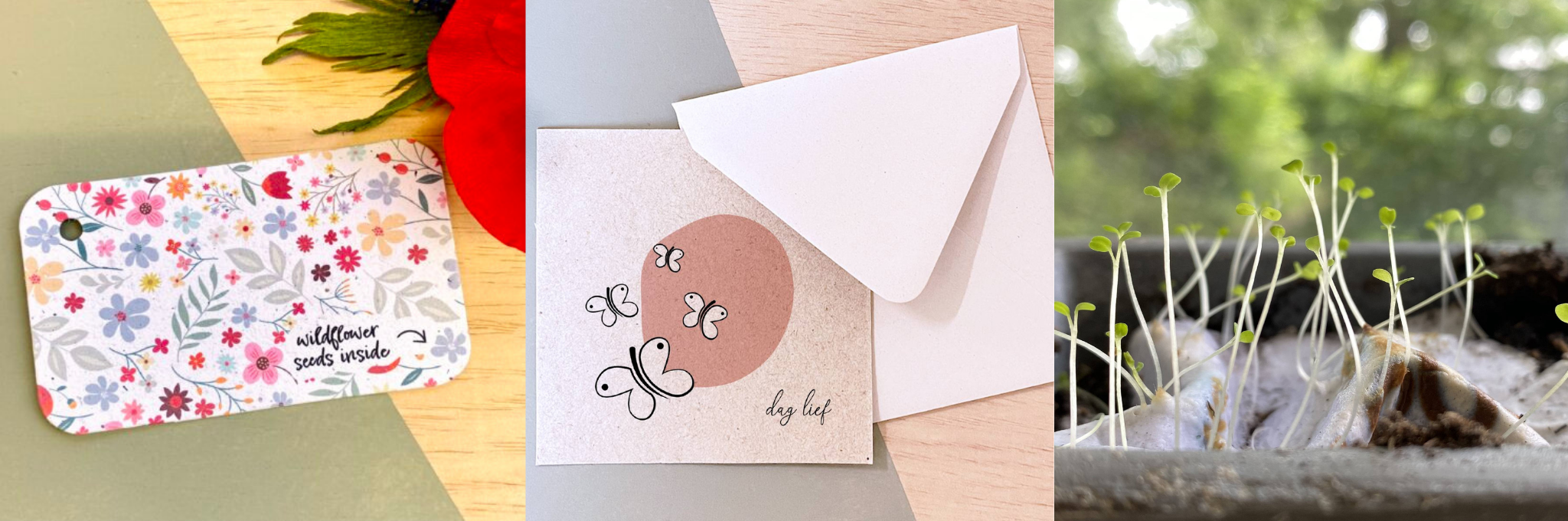 Duurzame bloemen voor de uitvaart- tips en mooie alternatieven - bloom your message - rememberme