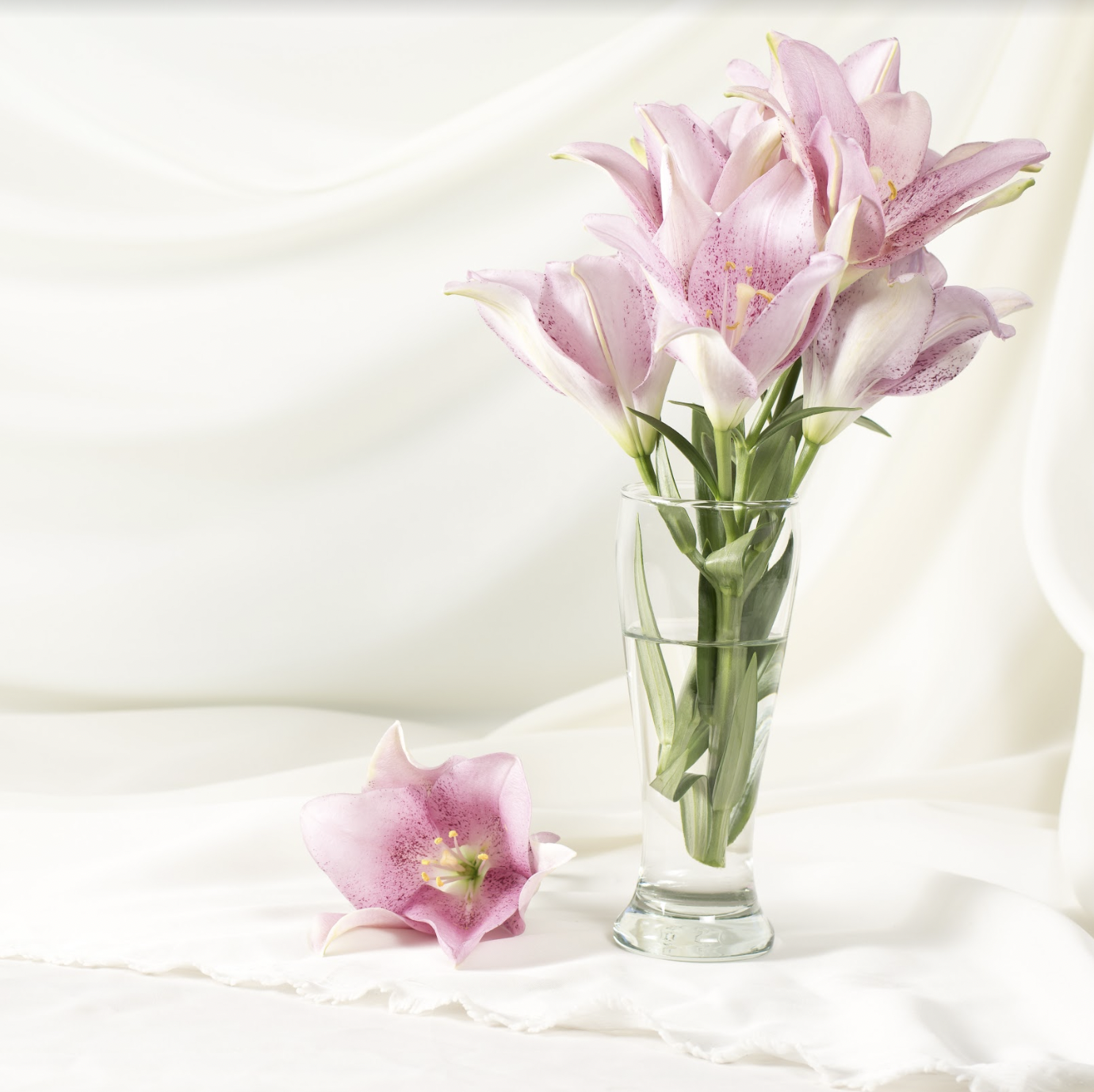 roze bloemen in vaas
