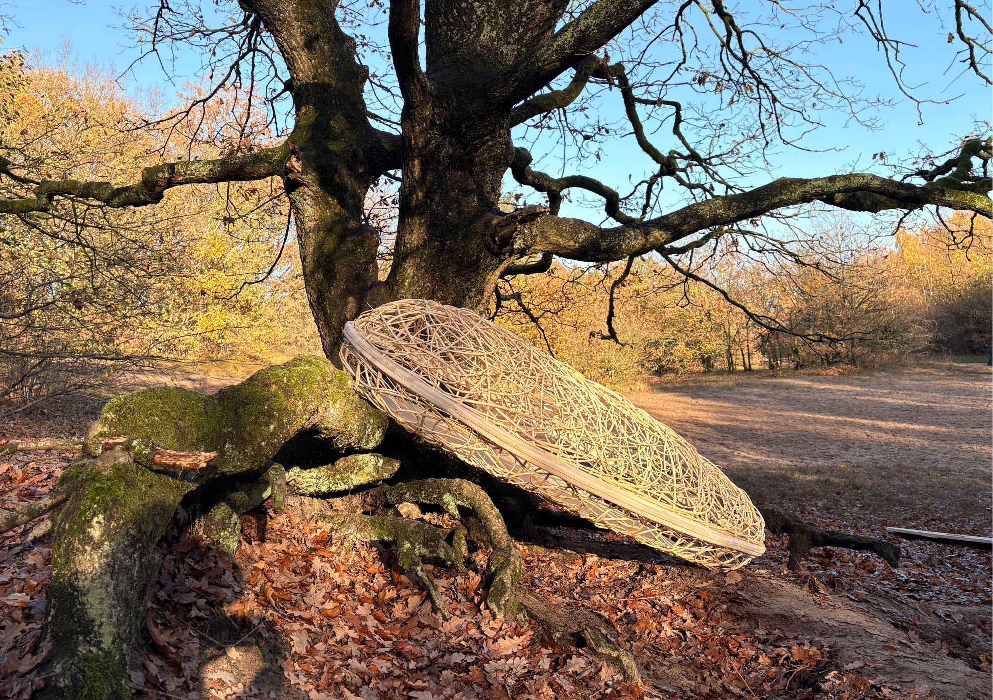 Beerenberg uitvaartmand - Wilgencocon