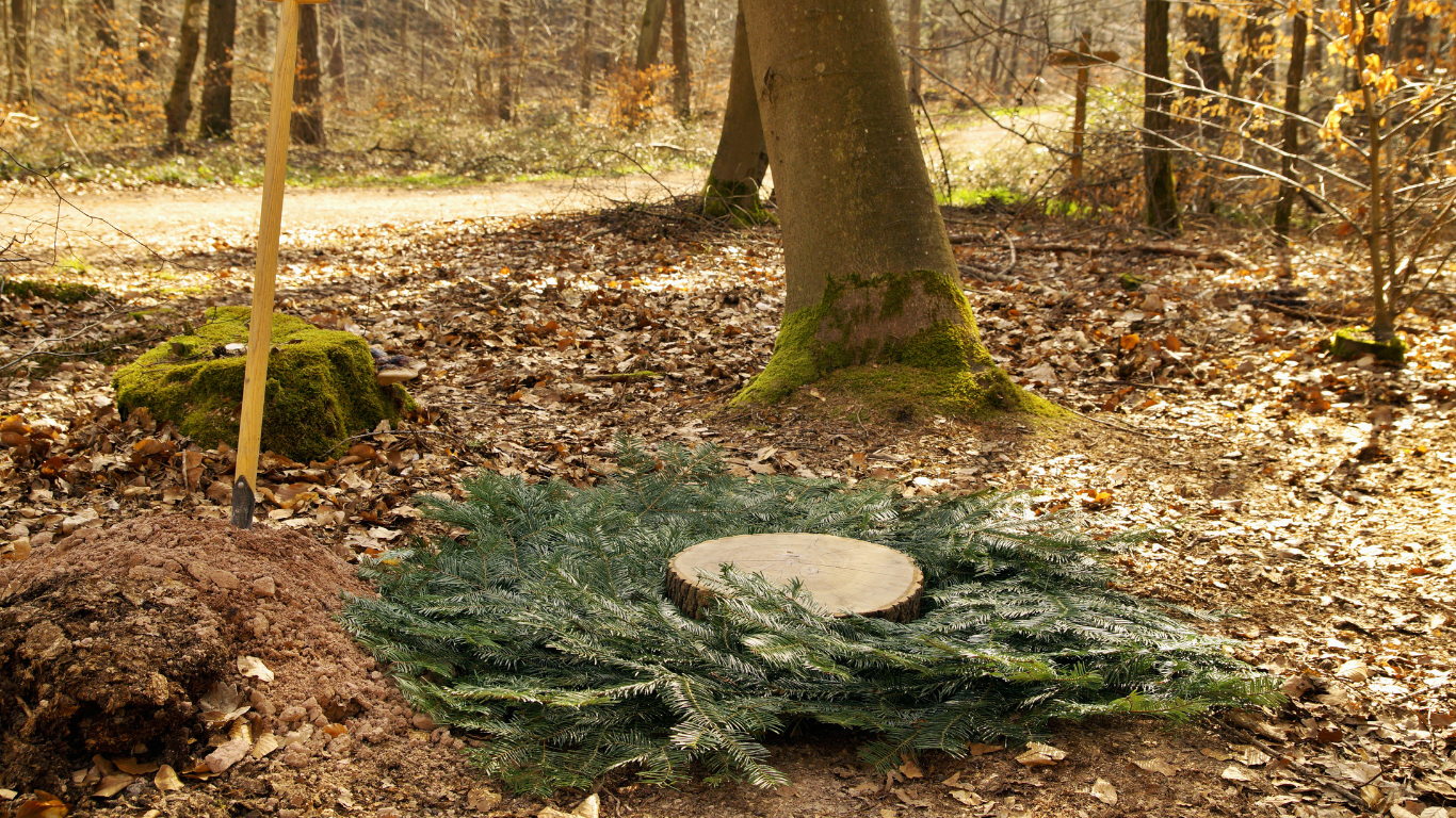 Natuurbegraven: wat houdt het in?