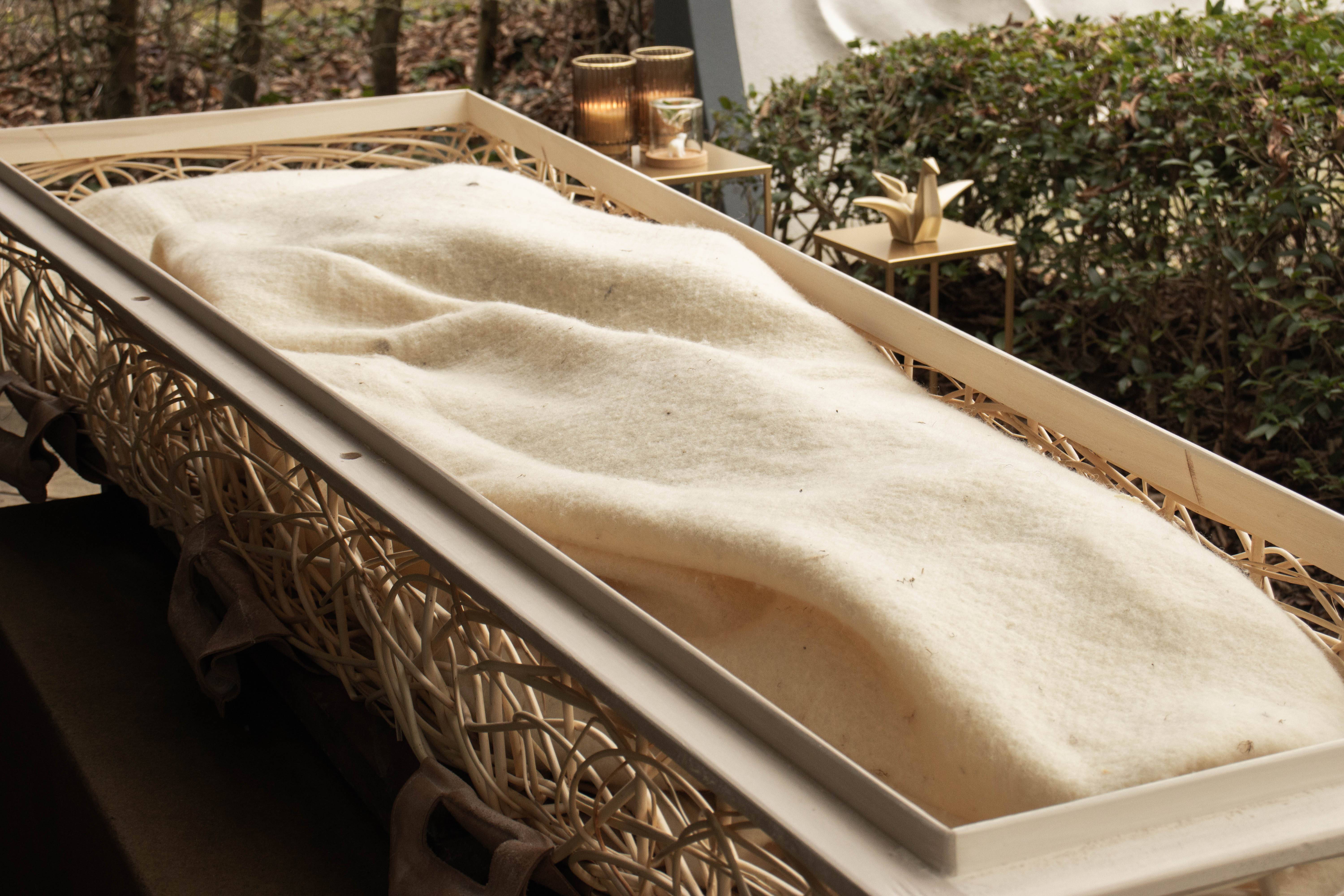 beerenberg wade wilgenbaar